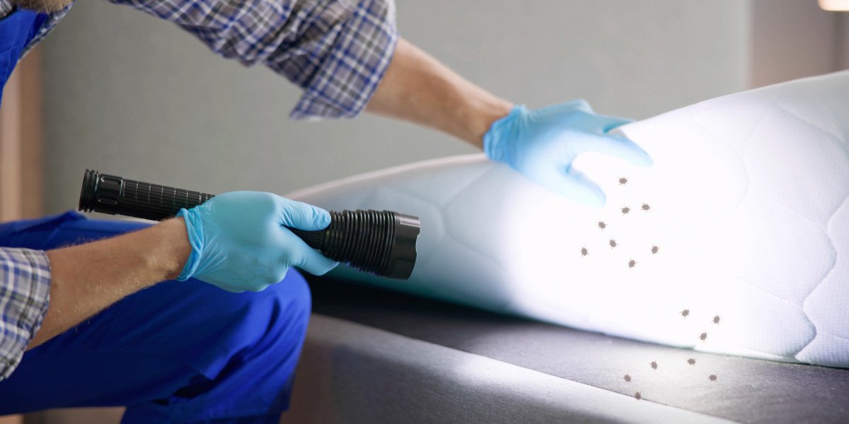 Understanding Bed Bug Removal Services and Their Importance
