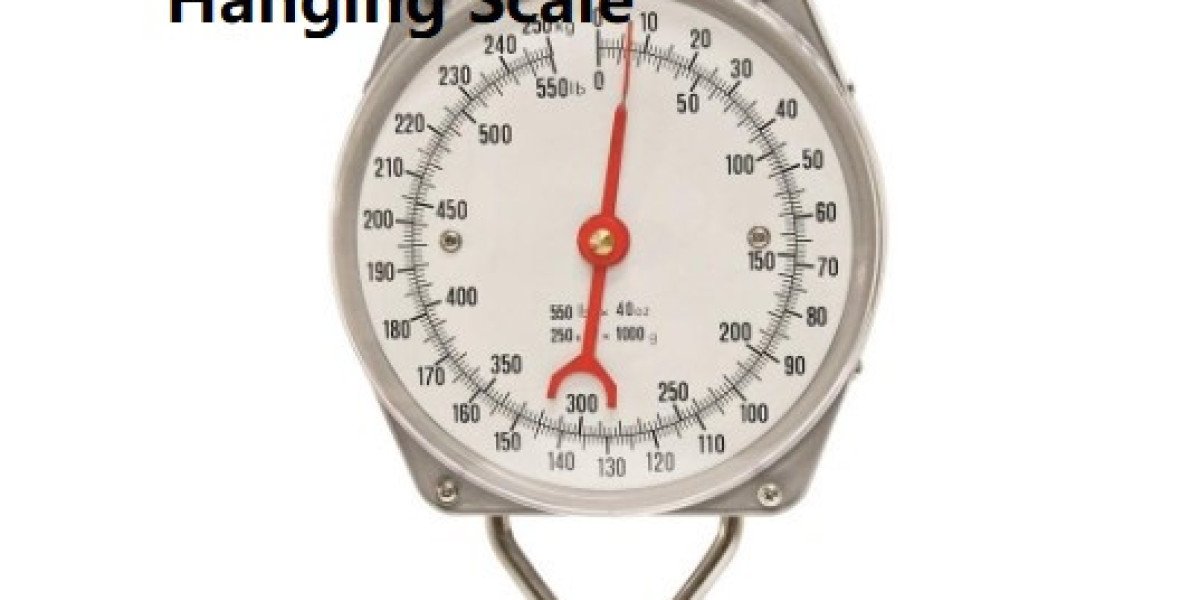 Mechanical Hanging Scale Chinazhengya Advanced Application Guide