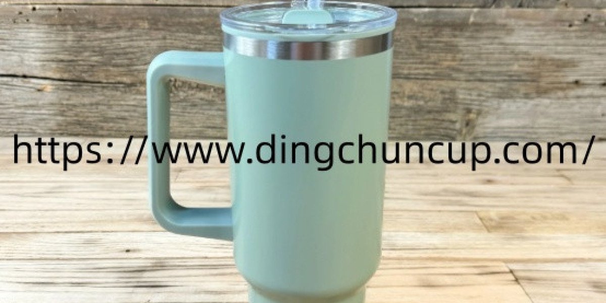 Can Dingchuncup Insulated Straw Mug Match Different Lifestyle Needs