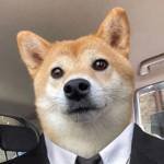 Jianma Jianma Profile Picture